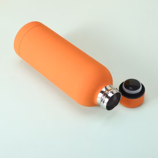 Double Wall Stainless Steel Outdoor Flask